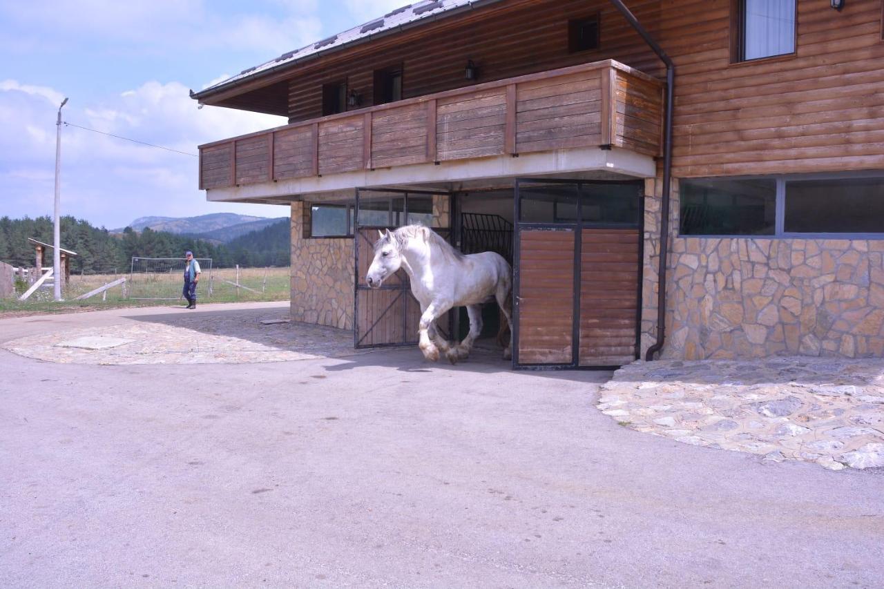 Hotel Borovi Forest Resort & Spa Sjenica Exterior foto